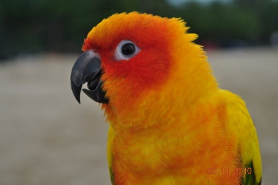 PICTURES: Mother Nature / Animals